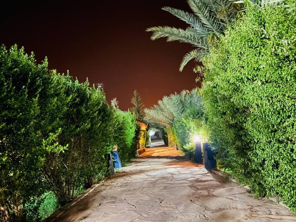 Paradis Touareg Zakura Zewnętrze zdjęcie