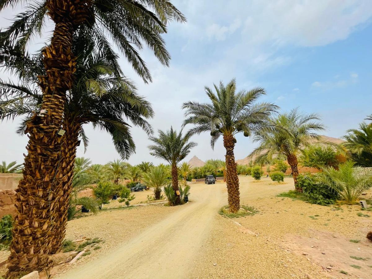 Paradis Touareg Zakura Zewnętrze zdjęcie