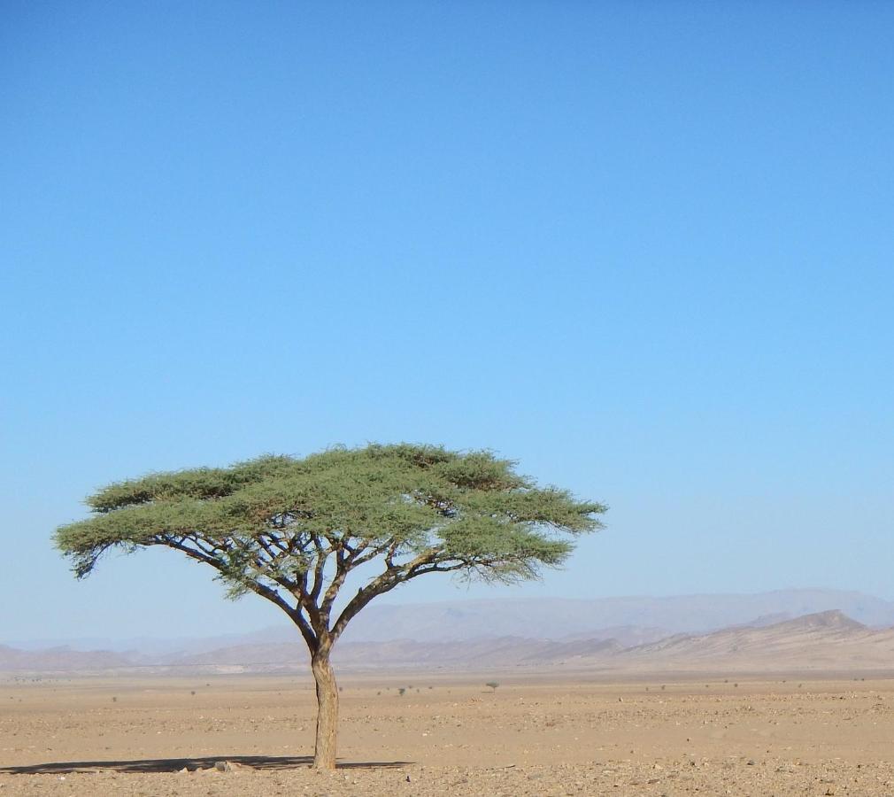 Paradis Touareg Zakura Zewnętrze zdjęcie