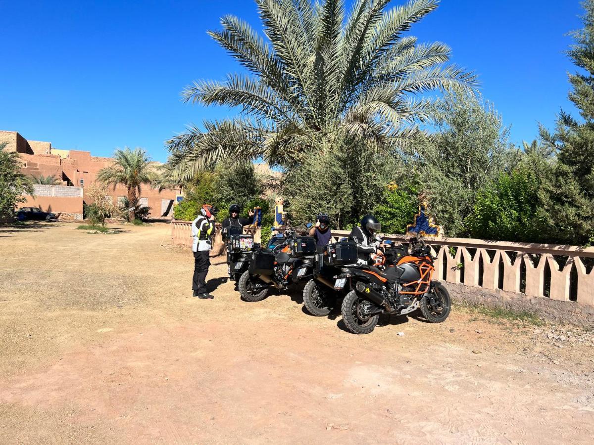 Paradis Touareg Zakura Zewnętrze zdjęcie